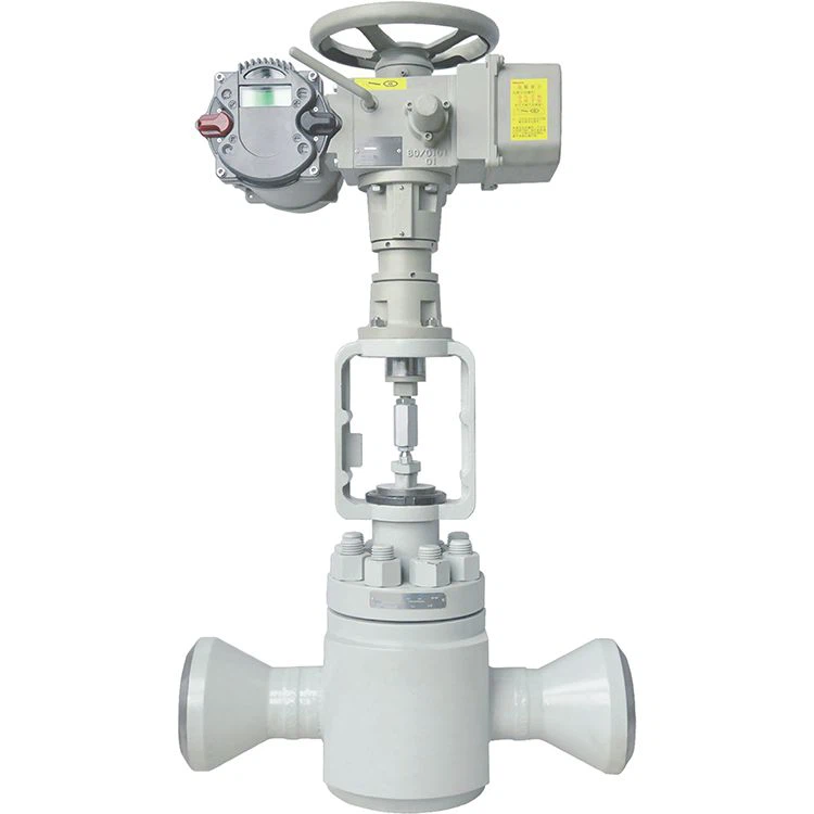 Electric Noise Reduction Cage Guided Control Valve
